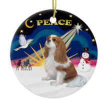 Xmas Sunrise -  Blenheim Cavalier