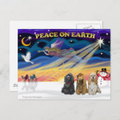 Xmas Sunrise - Drie Cocker Spaniels Feestdagenkaart (Voorkant / Achterkant)