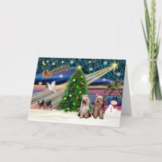 XmasMagic-Yorkshire Terriers (twee) Feestdagen Kaart