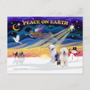 XmasSunrise-Two-Old English Sheepdog Feestdagenkaart