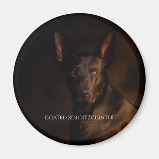 Xoloitzcuintle gecoate magneet
