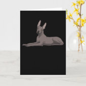 Xoloitzcuintle Kaart (Gele Bloem)