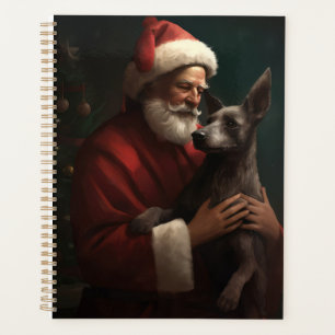 Xoloitzcuintli avec Noël Festif du Père Noël