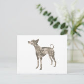 Xoloitzcuintli Briefkaart (Staand voorkant)