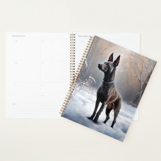 Xoloitzcuintli Laisser neiger Noël (Devant avec enveloppe)