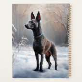 Xoloitzcuintli Laisser neiger Noël (Dos)