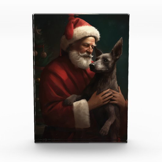Xoloitzcuintli Met Sinterklaas Festieve Kerstmis Fotoblokken (Voorkant)