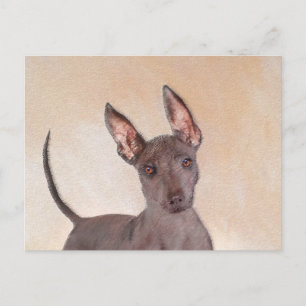 Xoloitzcuintli schilderen - Kute Original Dog Art Briefkaart