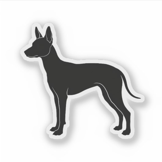 Xoloitzcuintli silhouet sticker (Voorkant)