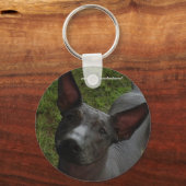 Xoloitzcuintli Sleutelhanger (Voorkant)