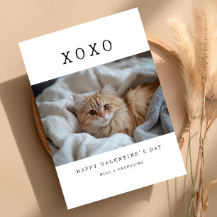 XOXO Eenvoudige Retro Kat Kitten Foto Valentijnska Feestdagenkaart
