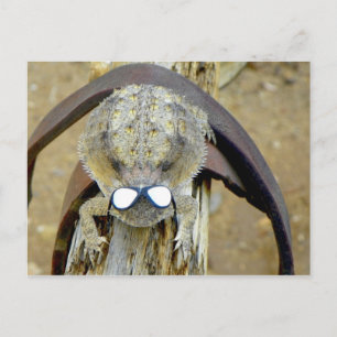 xoxo, Troy... Hi Cherie...LOL...of is het O.M.G. Briefkaart