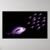 XRAY FISH CHASE BLACK PAARS POSTER (Voorkant)