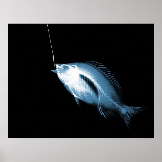 XRAY HOOK FISH BLACK BLUE POSTER (Voorkant)