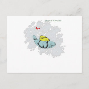 Xtreme Manatee Skydiving Briefkaart