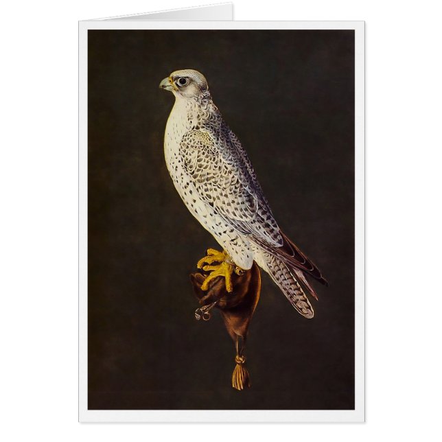 XVIème siècle de faucon (Devant)