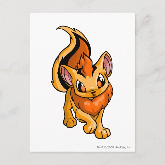 Xweetok Sinaasappel Briefkaart (Voorkant)