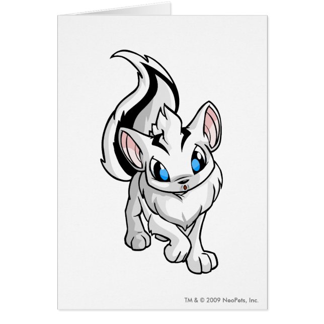 Xweetok White (Voorkant)