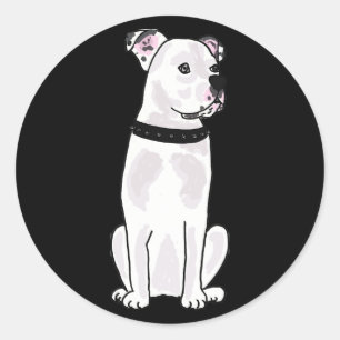 XX- Cute American Bulldog met Student Collar Ronde Sticker