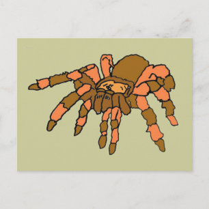XX- Hilarious Tarantula Spider Briefkaart