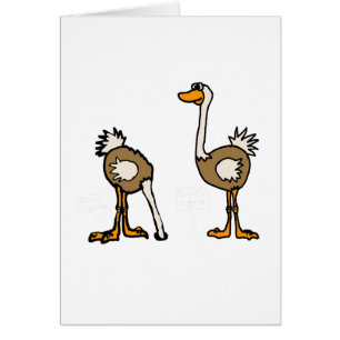 XX- Ostrips in de zand