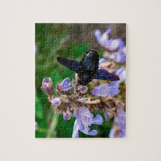 Xylocopa violacea legpuzzel (Verticaal)