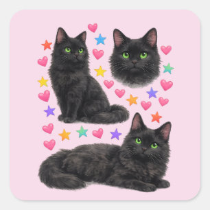 y2k regenboog harten zwarte kat kawaii schattig vierkante sticker