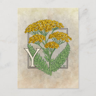 Y voor Yarrow Flower Alphabet Briefkaart