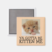 Ya doit être Kitten me, Magnets de chats amusants (Recto/Verso)