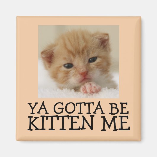 Ya doit être Kitten me, Magnets de chats amusants (Devant)