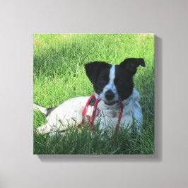 Yahtzee De Hond met Leash Canvas Print