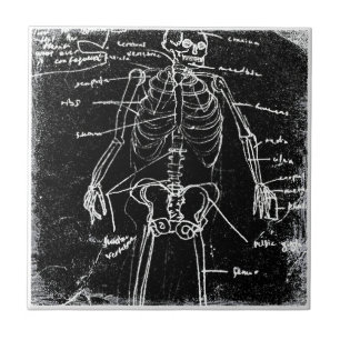 yaie tokyo human skeleton anatomy tegeltje