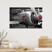 Yak 52 poster (Keuken)