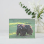 Yak Briefkaart (Staand voorkant)