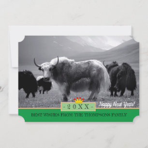 Yaks & Bonne année ! Carte /Himalaya, Yak Tibet
