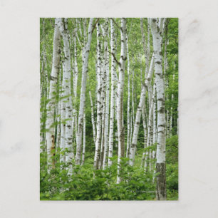 Yakumo-mura, prefectuur Nagano, centrale Honshu Briefkaart