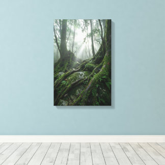 Yakushima 'adem van het leven' | Oude Biophilic Canvas Afdruk