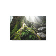 Yakushima Mosbos 'Adem van Leven' | Biophilisch