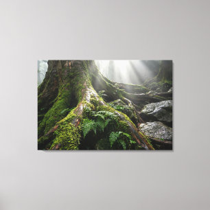 Yakushima Mosbos 'Adem van Leven' Biophilisch Canvas Afdruk