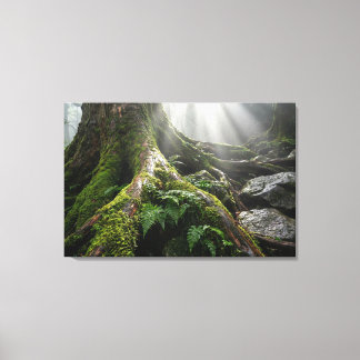 Yakushima Mosbos 'Adem van Leven' | Biophilisch Canvas Afdruk