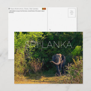 Yala National Park, Sri Lanka Carte postale de voy