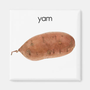 Yam Refkoelkast Magnet Magneet