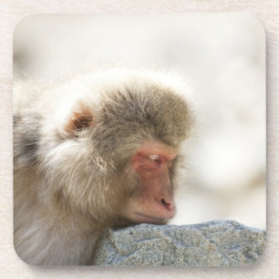 Yamanouchi, Chubu, prefectuur Nagano, Japan Bier Onderzetter