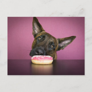 Yamm Yamm Briefkaart