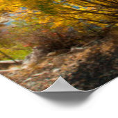 Yampa in de herfst poster (Hoek)