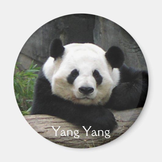 Yang Yang Panda Magnet Magneet (Voorkant)