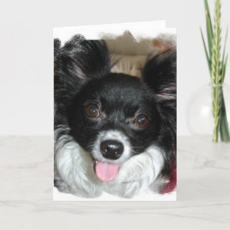 Yappy Birthday Kaart