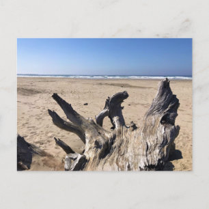 Yaquina Bay State Recreation Site, Newport, Oregon Briefkaart