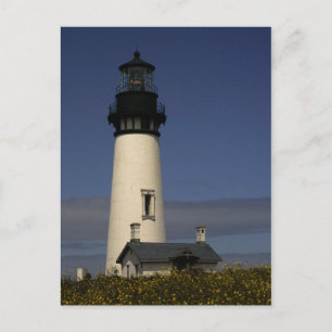 Yaquina Head vuurtoren—NIEUW Briefkaart