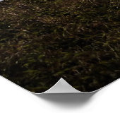 Yaquina Lighthouse Blue Poster (Hoek)